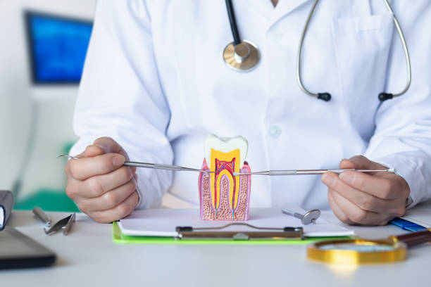 Best Emergency Root Canal Treatment in Necedah, WI